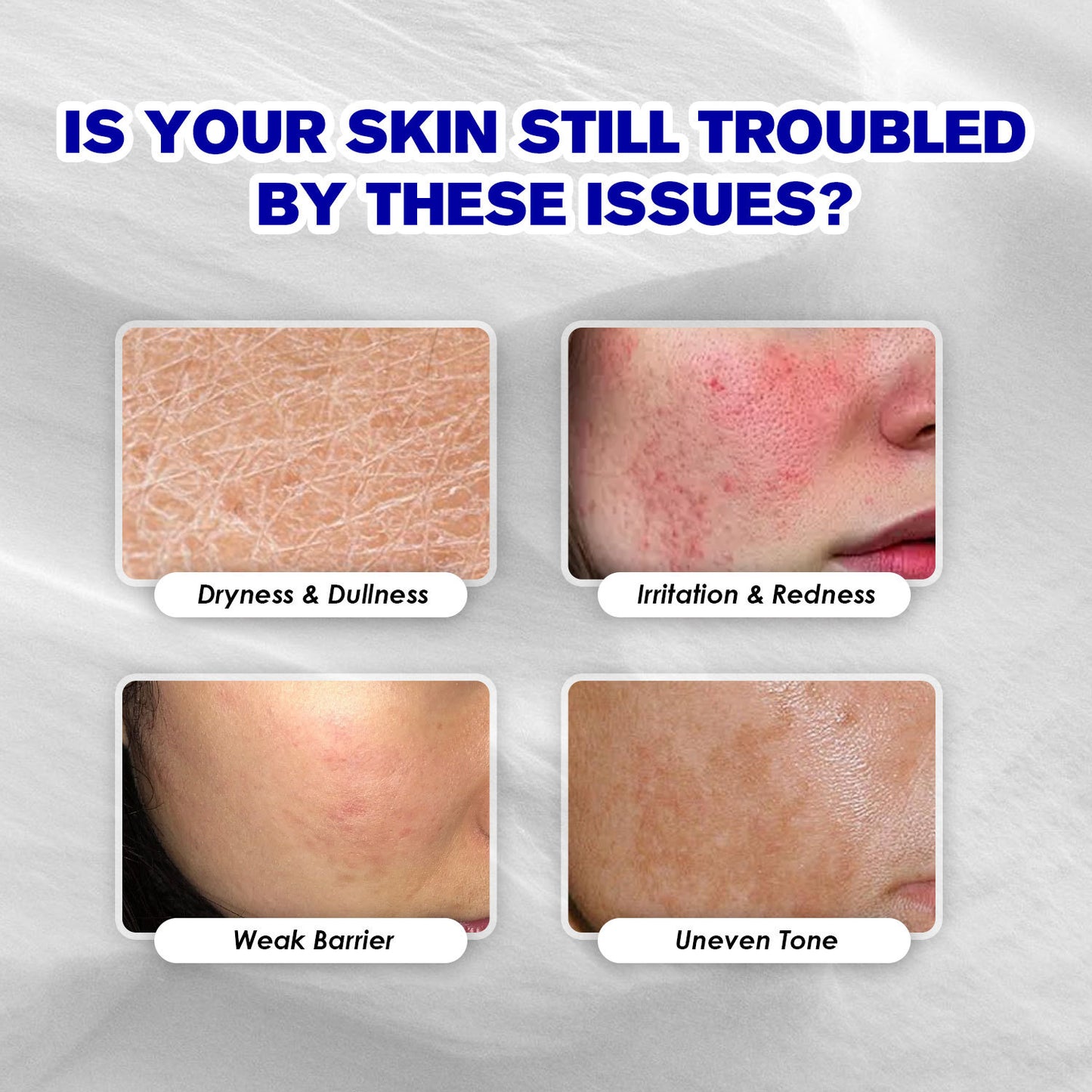 Ceramide + Panthenol Barrier Cream — Averra Labs